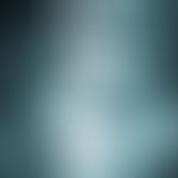 3月15日(日)定休日