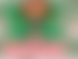 1月31日(土)通常営業