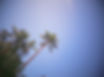 IMG_6441.jpeg