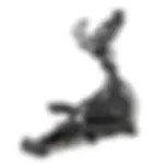 SOLE E35 ENT.webp