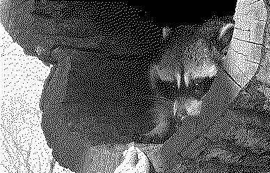 38f952f5d40e1e9e220597aeab7169af-dithered.gif