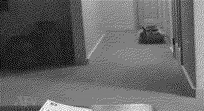 raccoon-roll-3218862732-dithered.gif