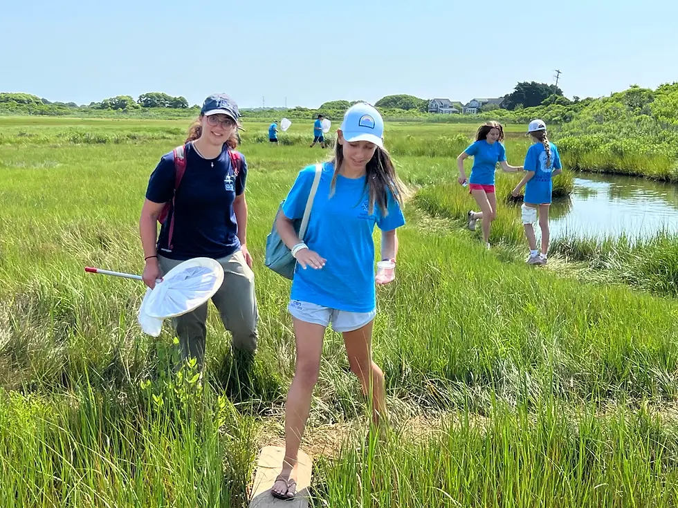 Youth and adults exploring a wetland with nets