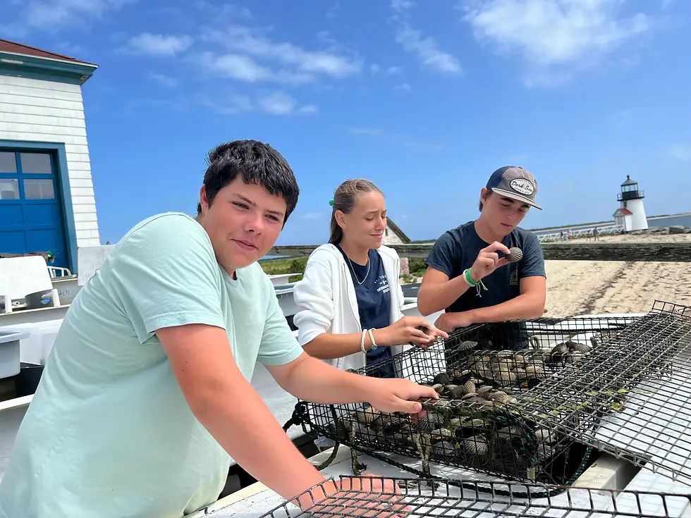 Three youth examining marine life resembling scallops