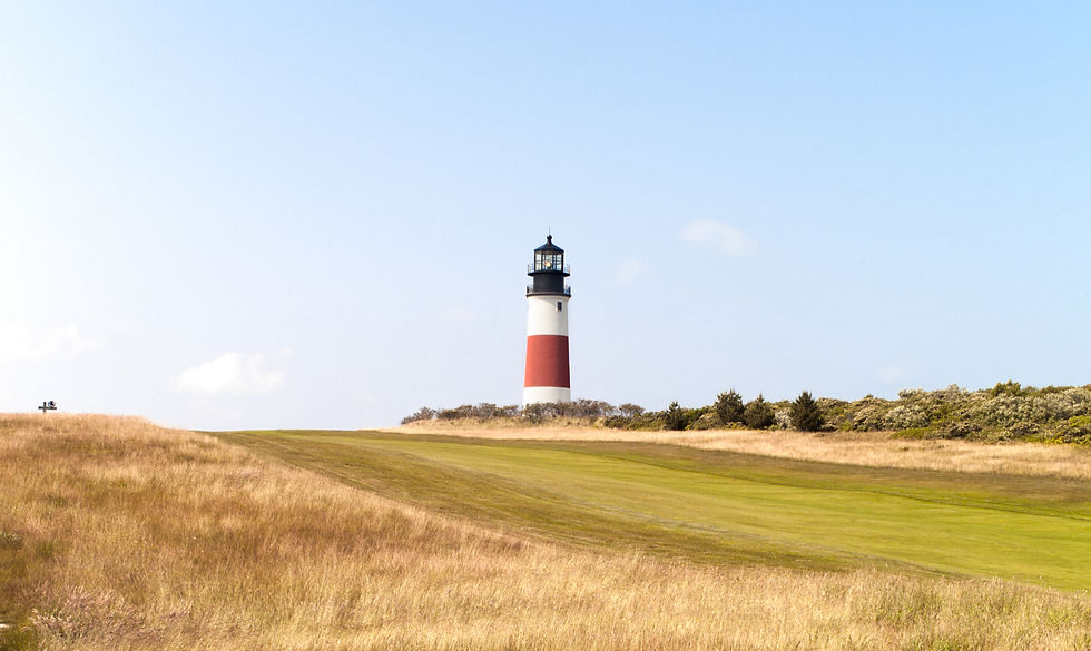 image-of-a-vineyard-with-lighthouse-in-the-backgro-2026-03-26-07-25-34-utc_edited.jpg