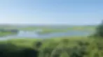 A summer scenic view of creeks on Nantucket