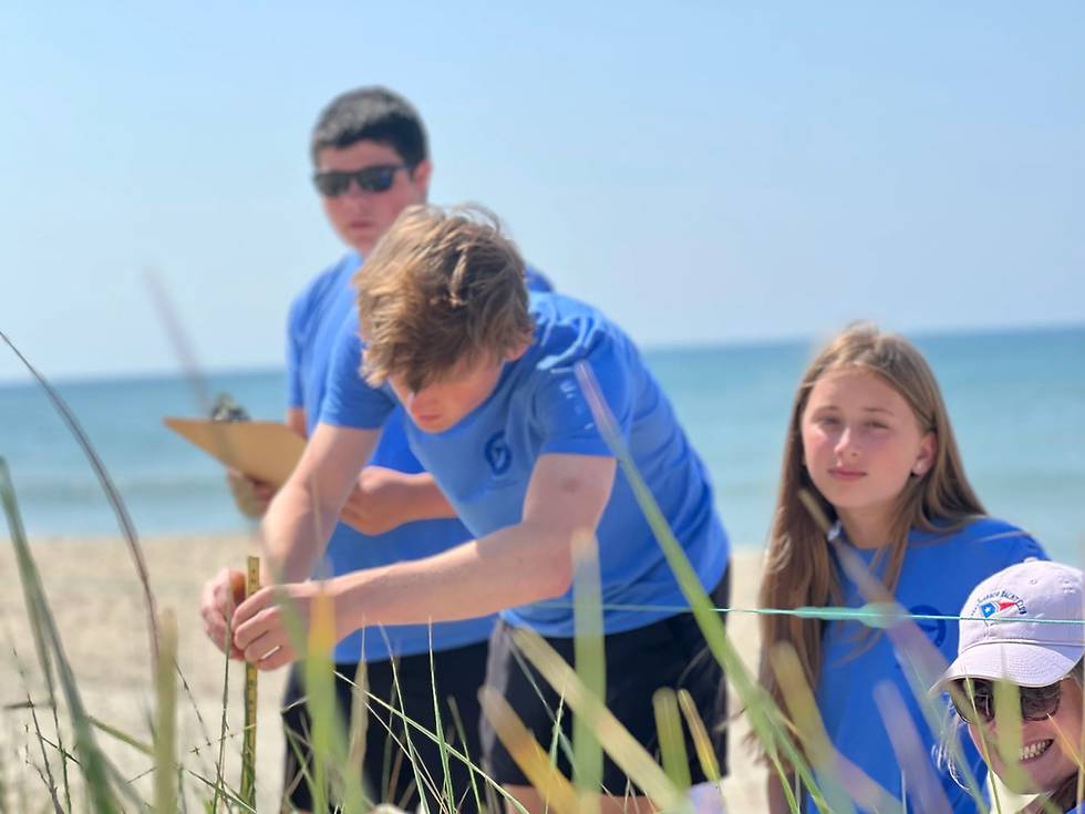 A group of kids measuring plants growing on the beach