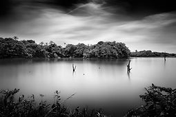 Longa exposição em preto e branco do Lago do Ubim, Manacapuru, com água suavizada, troncos emergindo como esculturas naturais e floresta ao fundo sob céu dramático; estética minimalista e contemplativa assinada por Max Cohen