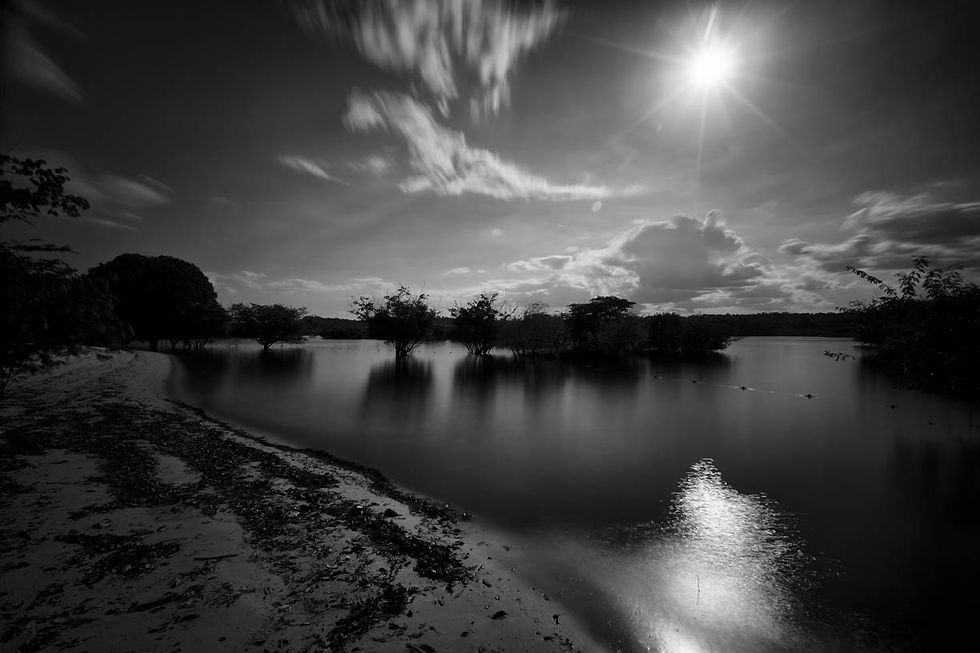 Rio Tarumã, em Manaus - Amazonas. Fotografia fine art em preto e branco e em longa exposição. Praia com as árvores em área alagada. Céu dramático.