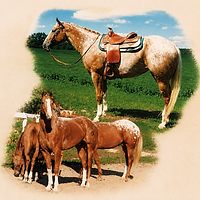 file_00000000c01071fd95b109ff48338999.png