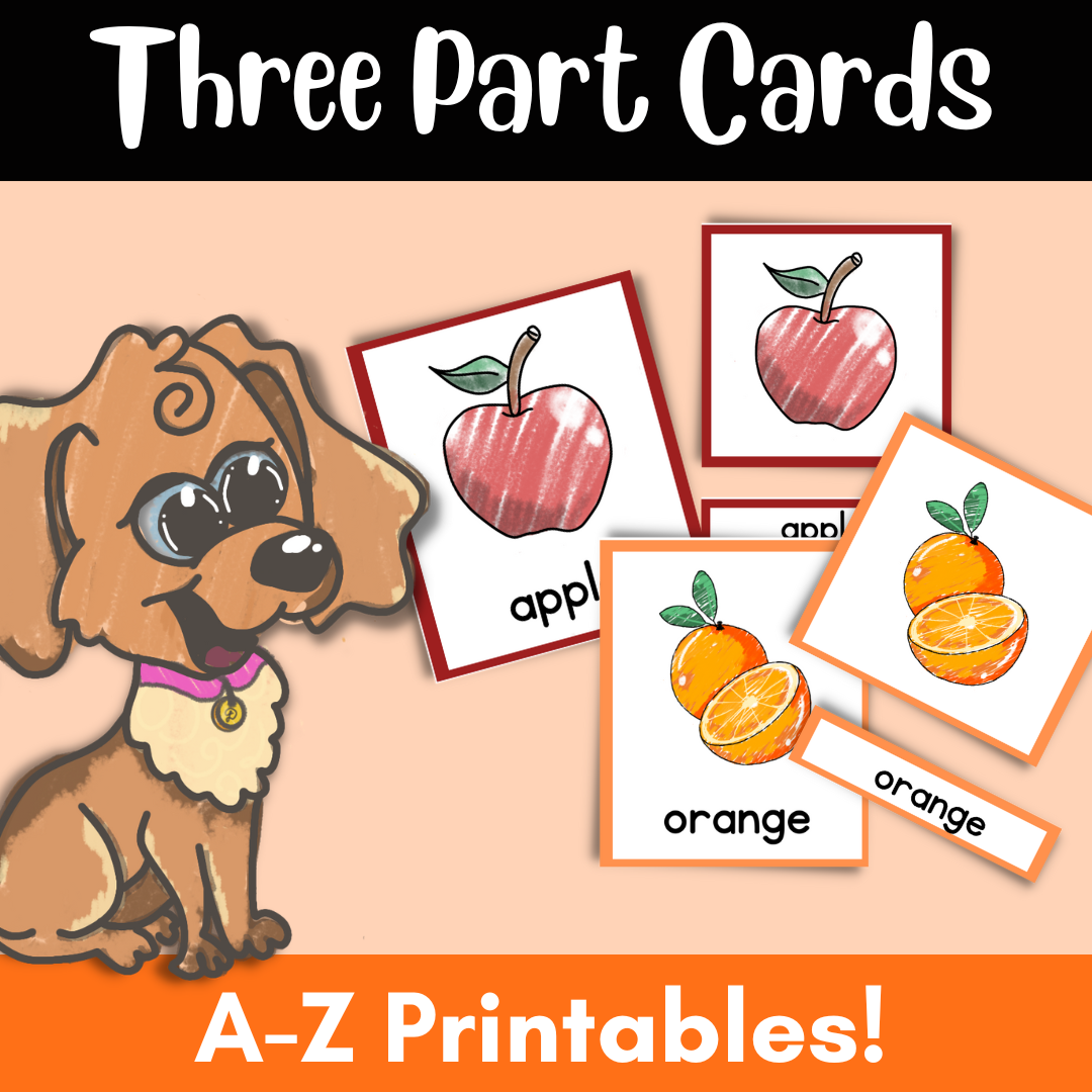 Creation Three Part Cards