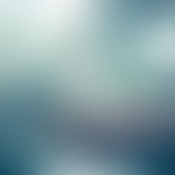 ENERGIE DU MOMENT AVRIL 2017