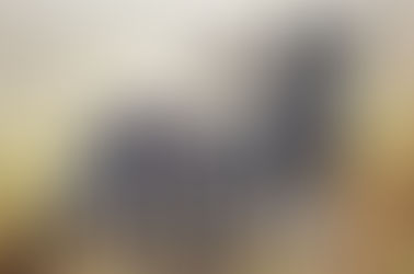 Haut Potentiel/Surdoué/Zèbre