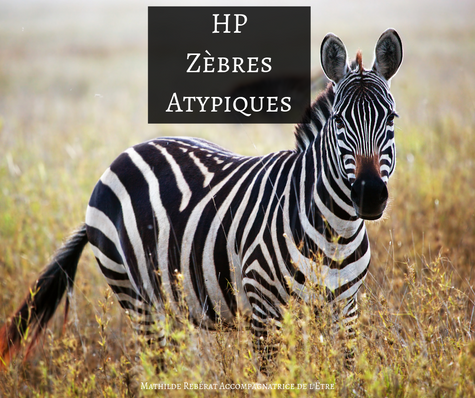 HP, Zèbres, Atypiques