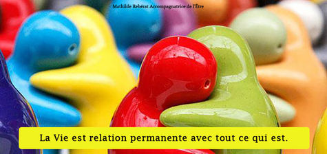 LES ÊTRES DE RELATION QUE NOUS SOMMES
