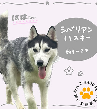 無題522_20240524184638.jpeg