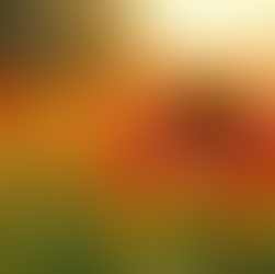 Expert Tips for Native Plants in Atlanta Gardens