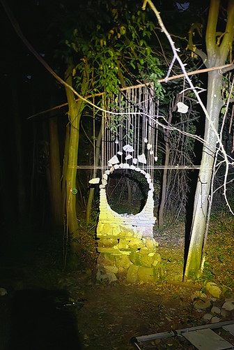 20240720_000549_edited.jpg