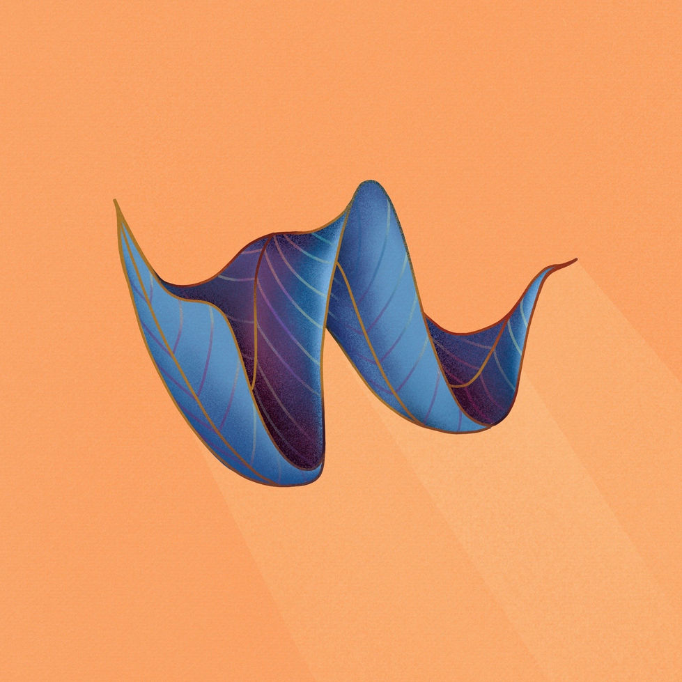 w.JPG