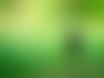 19. <참된 종교의 인간에 대한 가르침의 두 요소: 위대함과 비참/존중과 경멸/사랑과 미움>