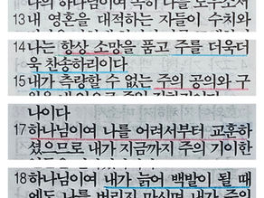 95. <내가 소망을 품고 주님을 동시대와 후대에 전하겠습니다>