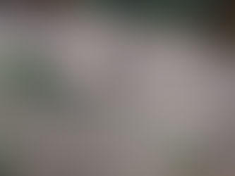 27. <바람, 그 바람>