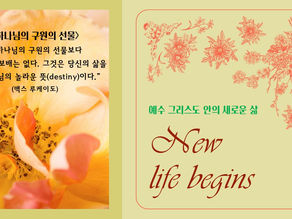 6. <하나님의 구원의 선물>