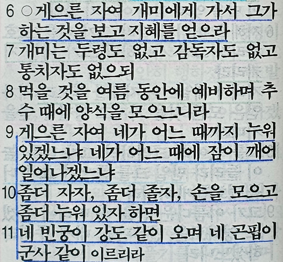 잠언 6장 6-11절 묵상 말씀