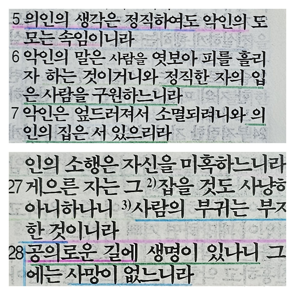 잠언 12장 5, 28절 묵상 말씀
