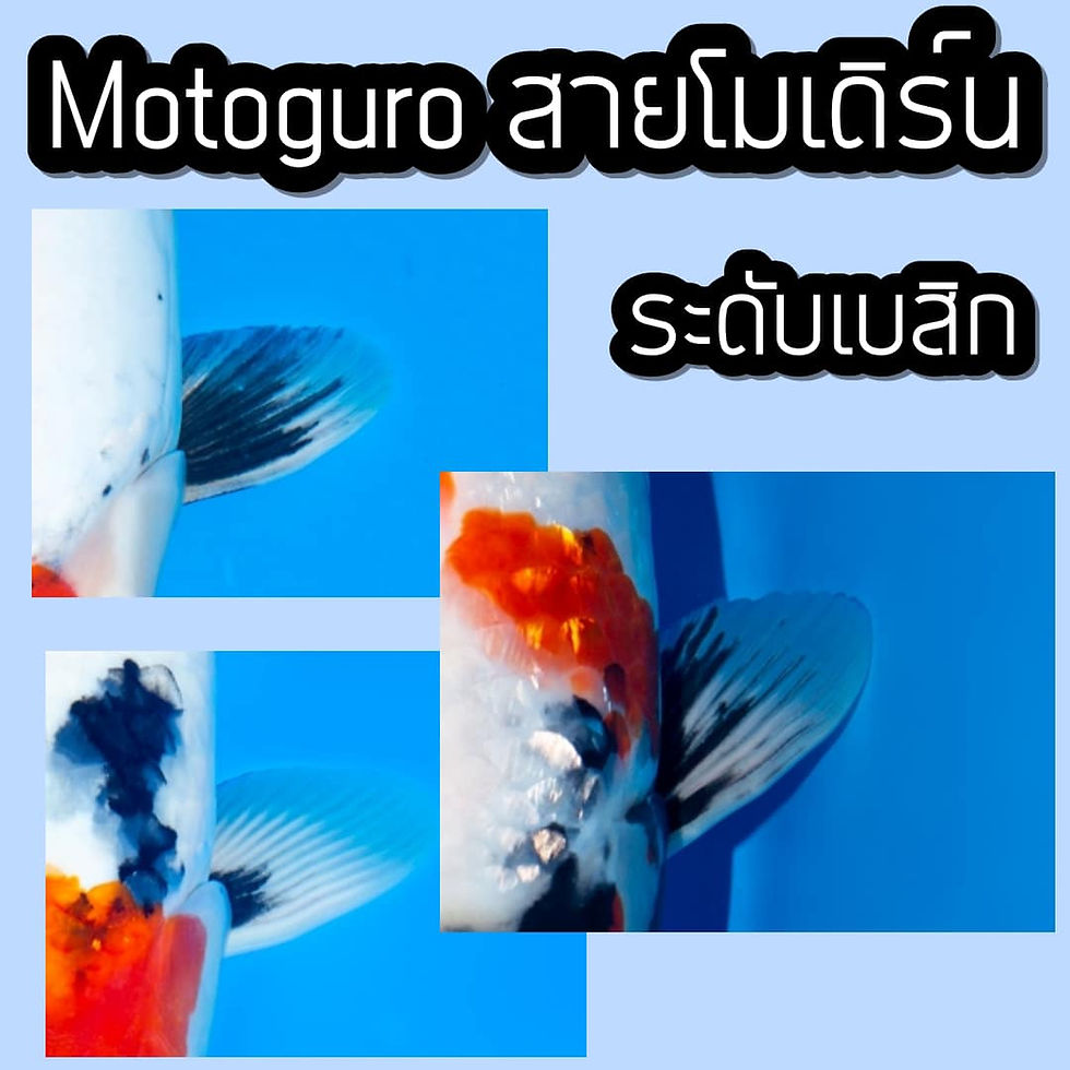 ree