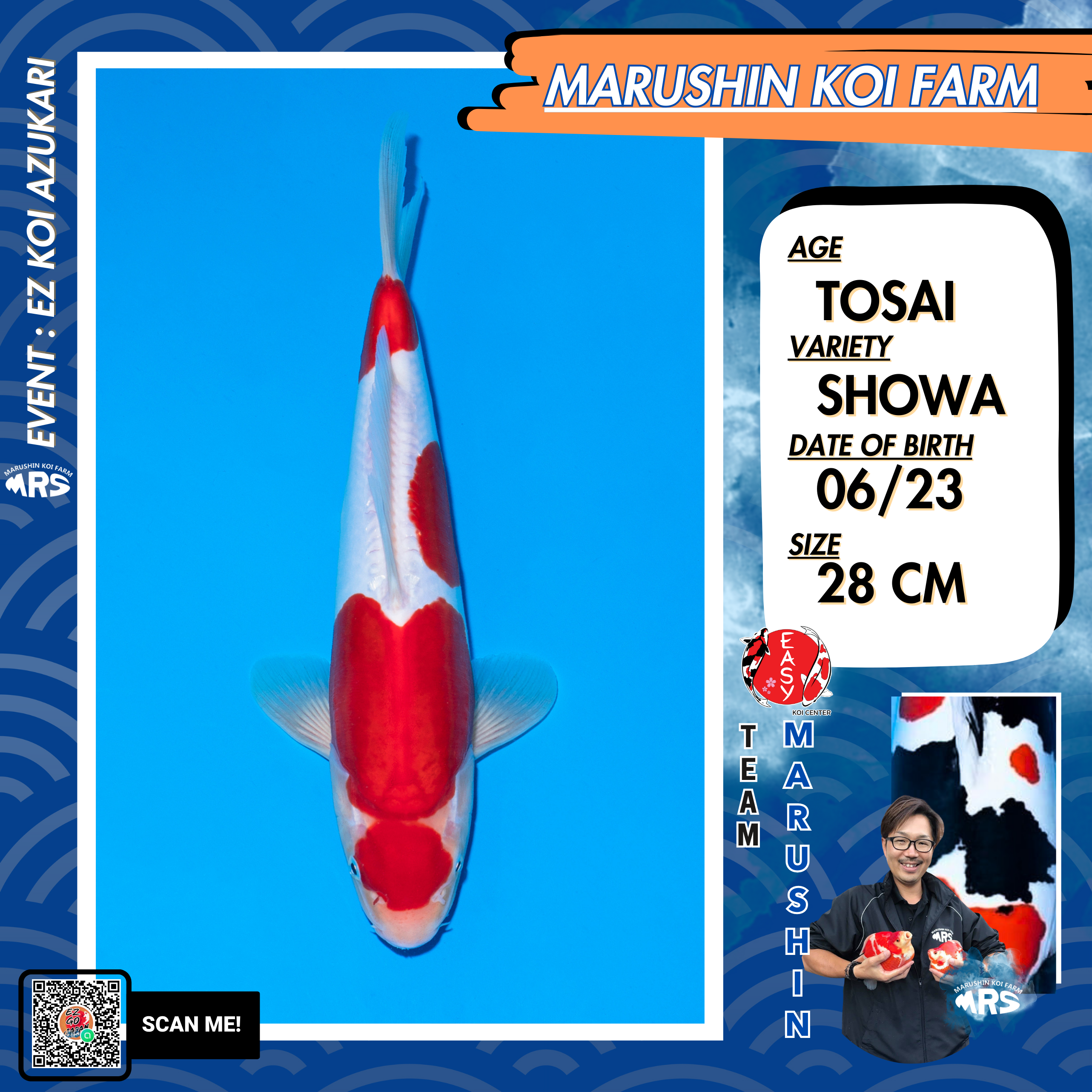 Marushin Doitsu Maruten Kohaku