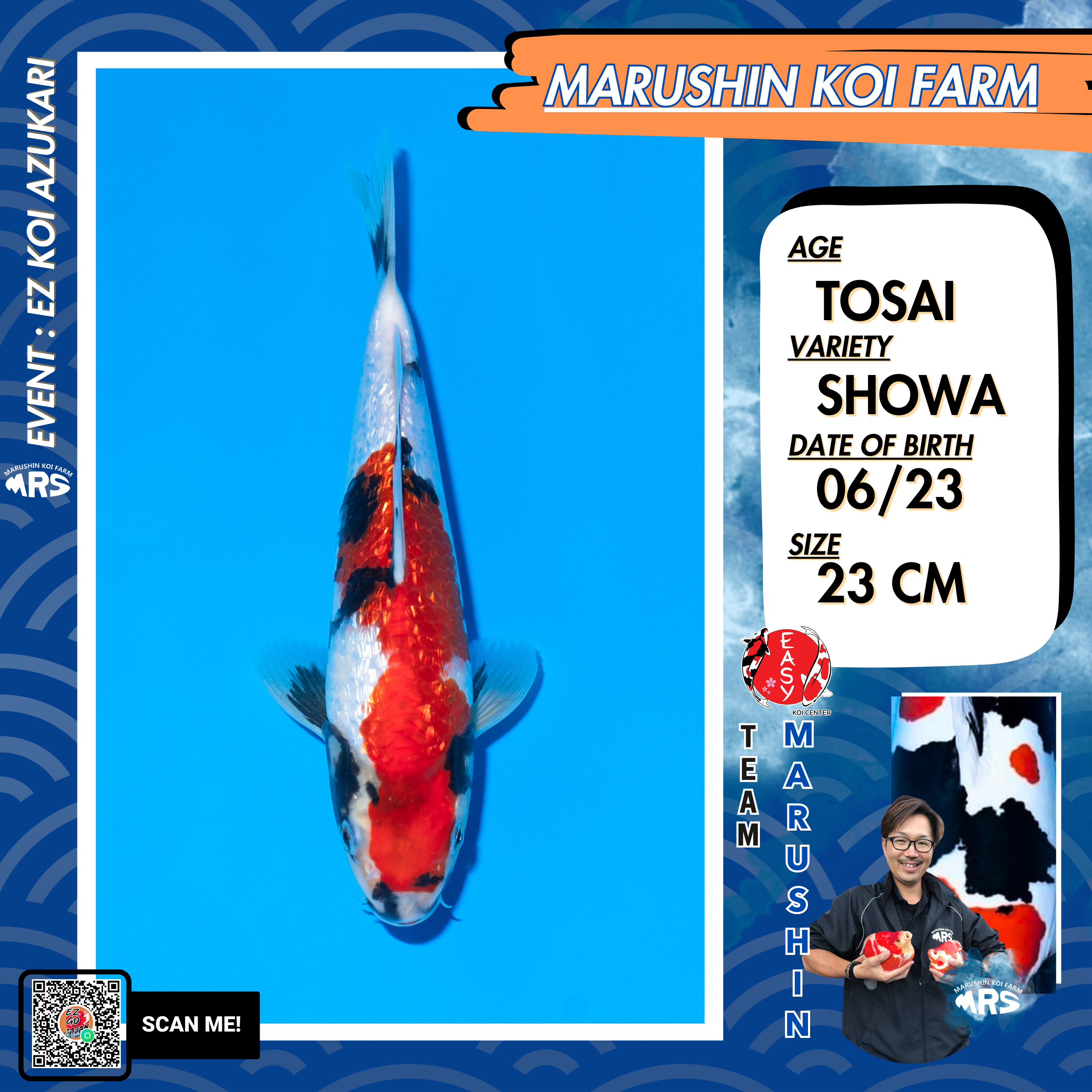 Marushin Ginrin Showa