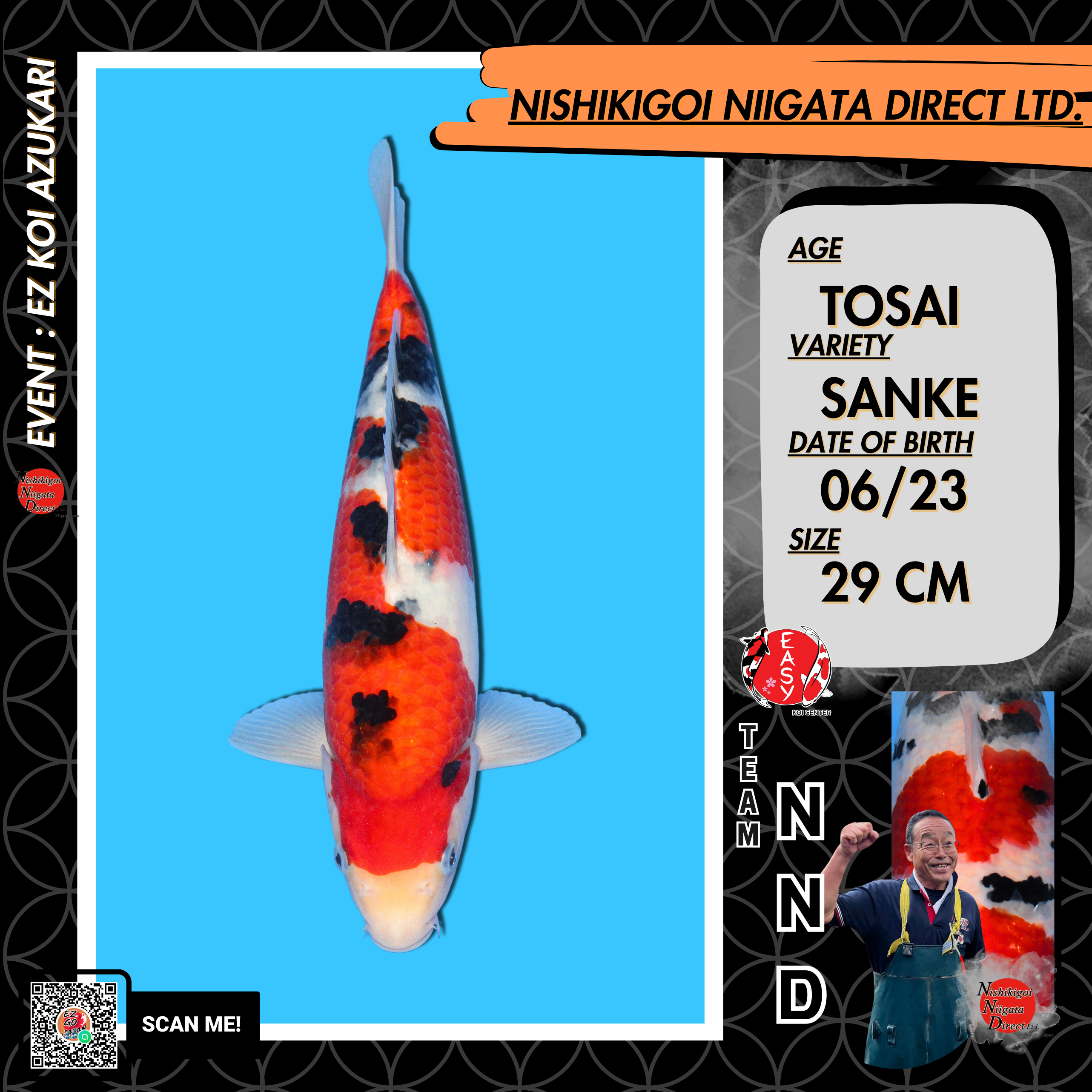 NND Sanke