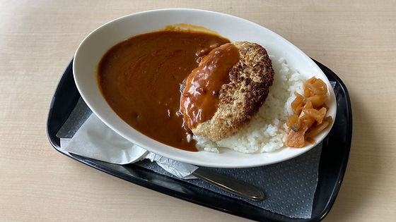 豆腐ハンバーグカレー