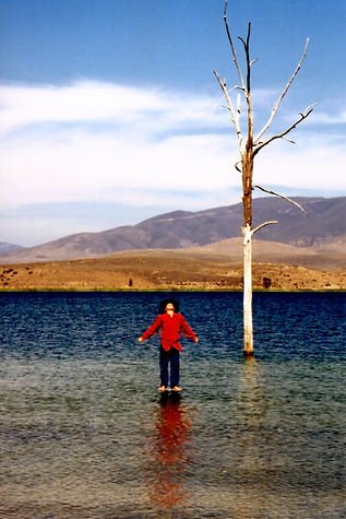 Searchlight Billy on water Vertical HQ.jpg