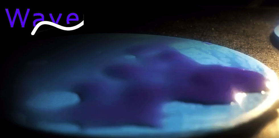 Image-Wave_edited_edited.jpg
