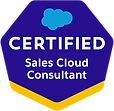 Certified Sales Cloud Consultant