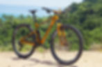 Bicicleta GTS Rav Gold Edition