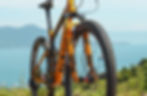 Bicicleta GTS Rav Gold Edition