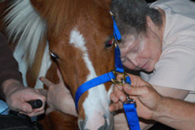 DSC_0456_edited.jpg