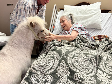 How Equestrian Angel Transforms Lives in Louisiana
