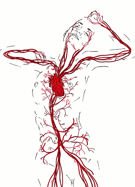sometimes i think, i need a spare heart to feel all the things i feel.png