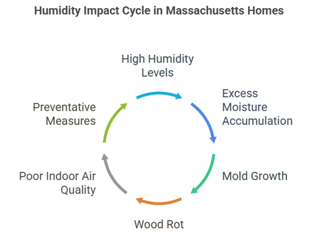 How Humidity Affects Homes in Massachusetts (And How to Prevent Mold)