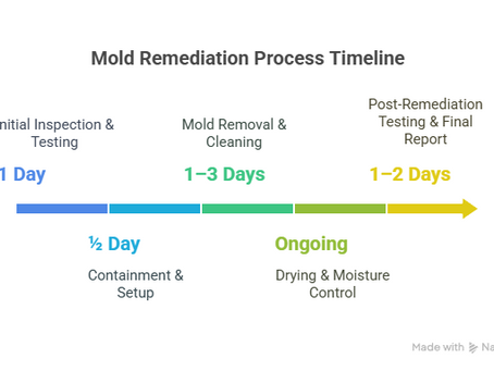 How Long Does Mold Remediation Take? (And What to Expect)