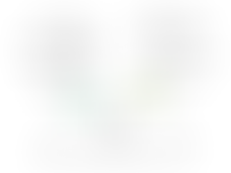 Mold vs. Mildew: How to Tell the Difference and What to Do Next