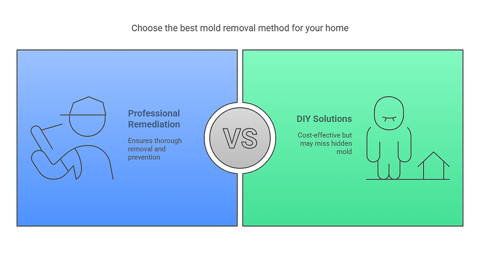 mold removal methods
