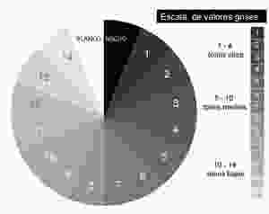 Escala de valores de cinza.