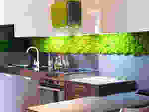 Parede verde na cozinha.