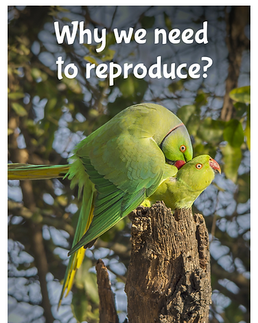 Why we need to reproduce?