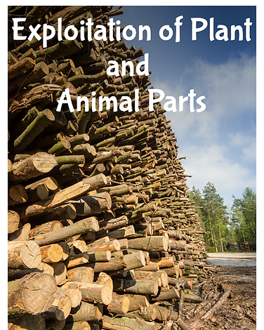 Exploitation of plant and animal parts